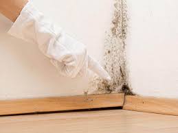 Mold Remediation for Rental Properties in Warner, OK